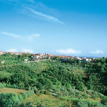 Il Felciaione-31 By Interhome Riparbella